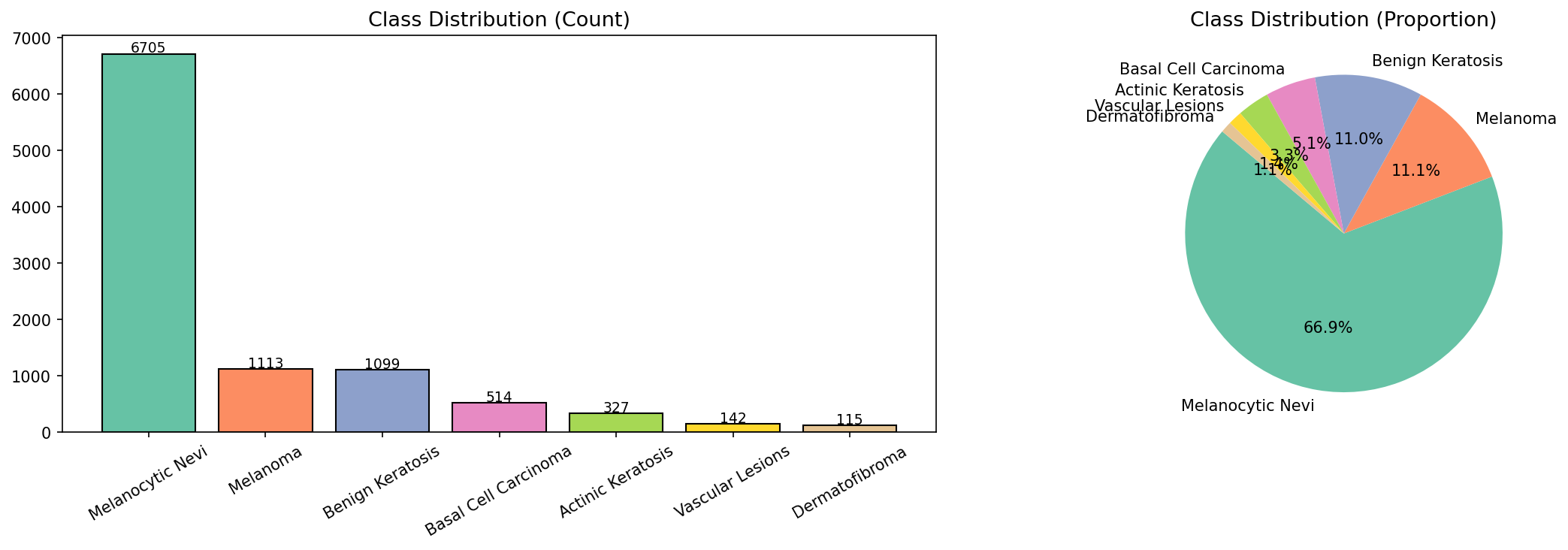 Class Distribution